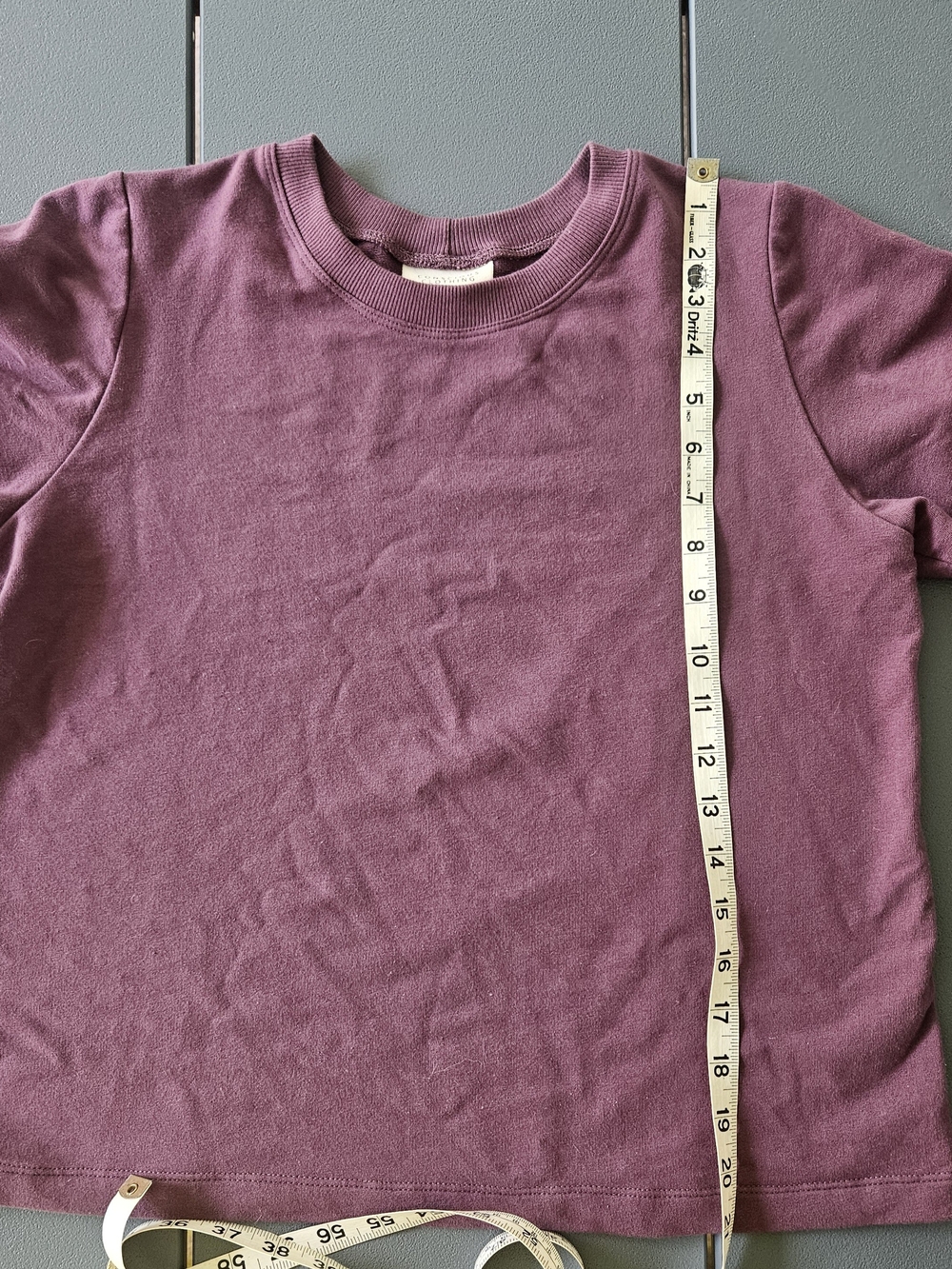 Conscious Clothing Womens T Shirt Small